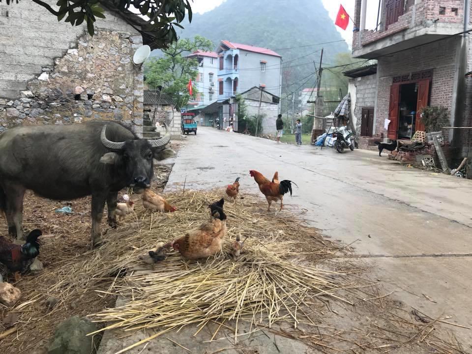 Yến Nhi Bản Giốc Homestay - Nhà sàn đá cổ Cao Bang Ngoại thất bức ảnh